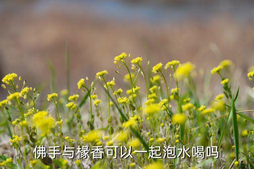 佛手香橼，佛手与椽香可以一起泡水喝吗