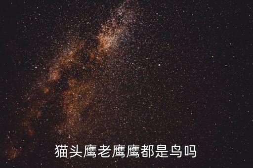 猫头鹰属于鸟类吗，猫头鹰是鸟类还是哺乳类