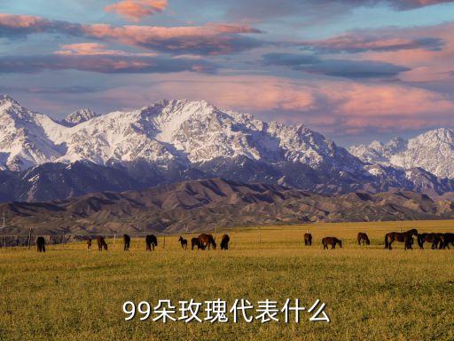 99朵玫瑰花，99朵玫瑰代表什么