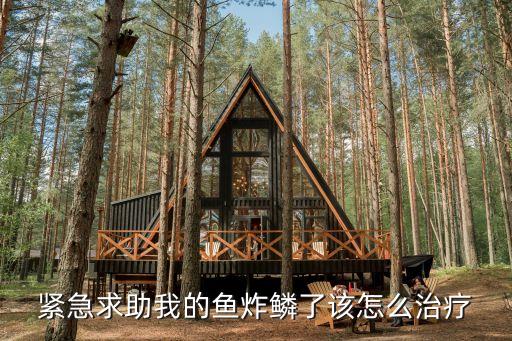 鱼炸鳞，观赏鱼炸鳞是什么原因水温低还是水质差