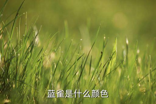 蓝雀，蓝雀是什么颜色