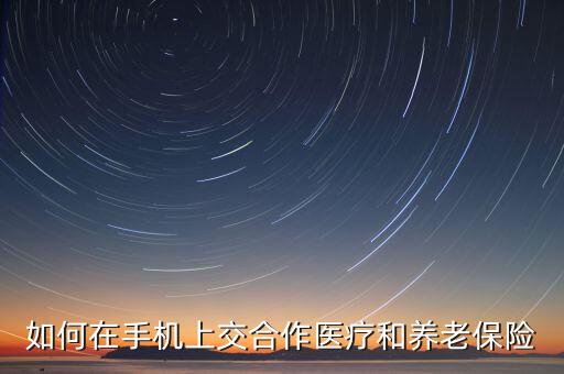 如何在手机上交合作医疗和养老保险