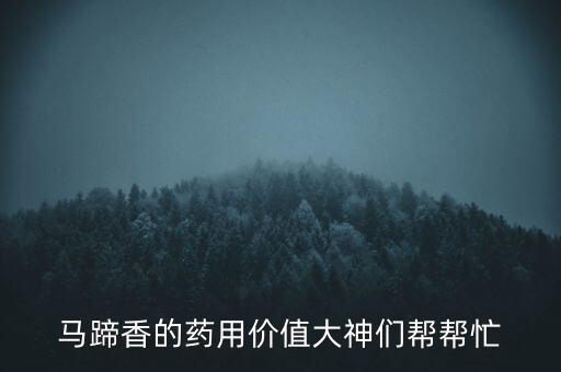 马蹄香的药用价值大神们帮帮忙
