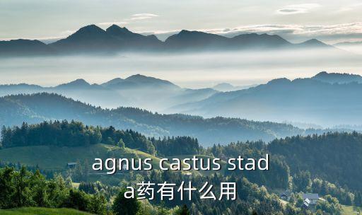穗花牡荆，这是什么花