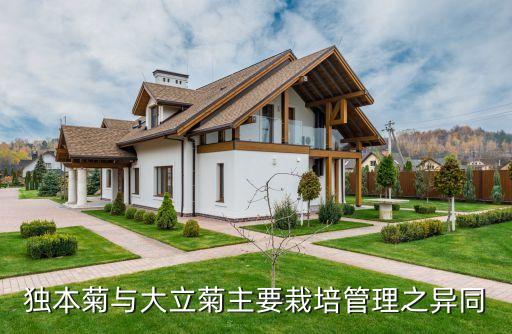 大立菊，谁知道这种菊花叫什么名字