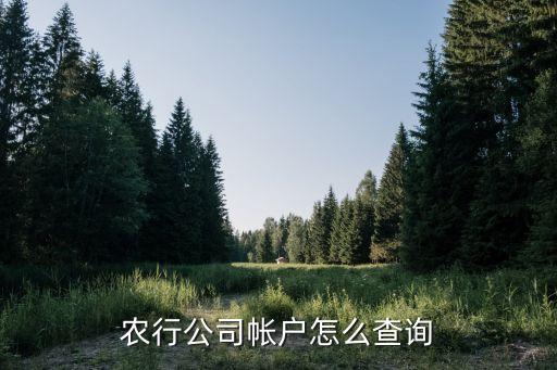 农行公司帐户怎么查询