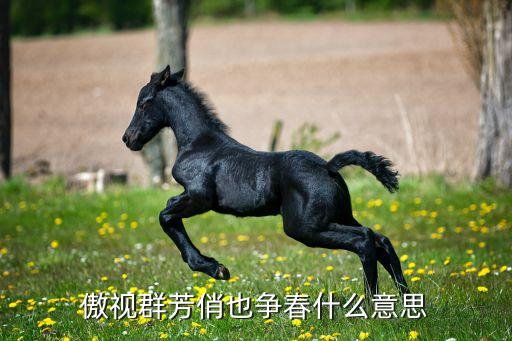 傲视群芳，傲视群芳的英文简体怎么 写