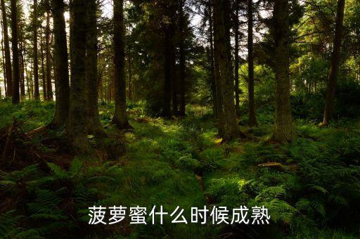 菠萝蜜的季节，菠萝蜜在什么时候产