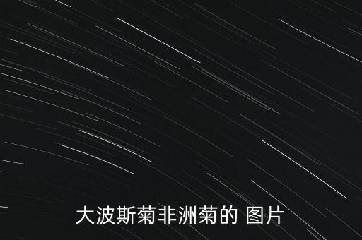 菊花图片，我想知道菊花所有品种及图片详细的