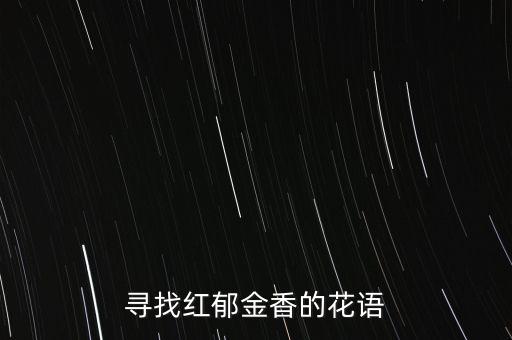 红色郁金香花语，寻找红郁金香的花语