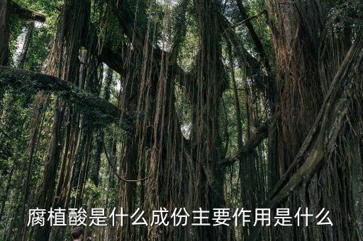 腐植酸是什么成份主要作用是什么
