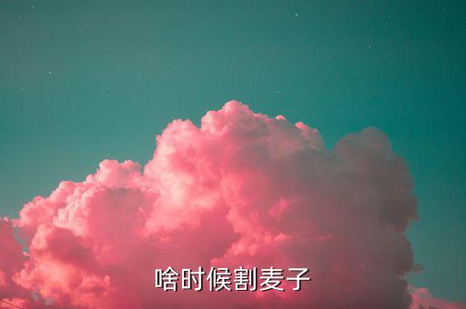 什么时候割麦子，啥时候割麦子