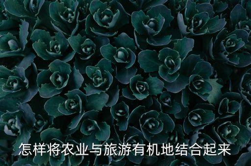 怎样将农业与旅游有机地结合起来