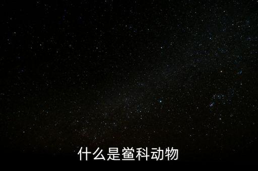 蝰科，煞科的概念