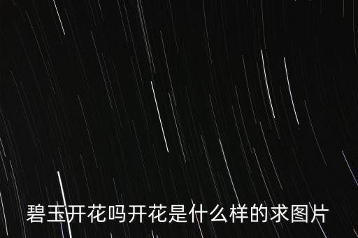 碧玉开花吗开花是什么样的求图片
