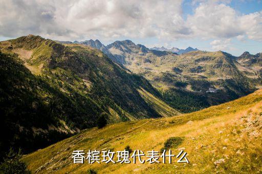 香槟玫瑰花语是什么意思，香槟玫瑰的花语是