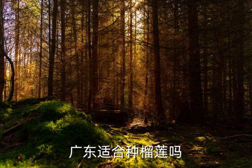 广东适合种榴莲吗