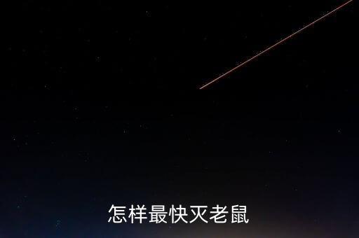赶走老鼠最快的方法，怎么能最快灭老鼠