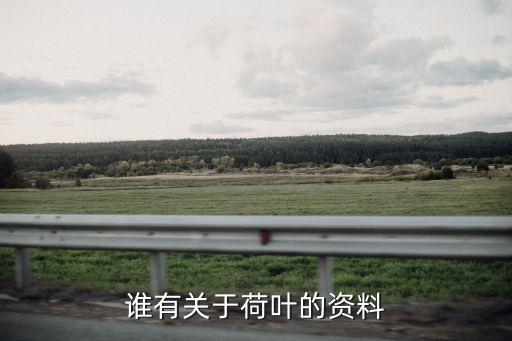 谁有关于荷叶的资料