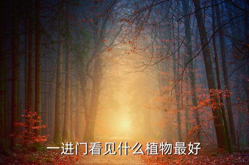 一进门看见什么植物最好
