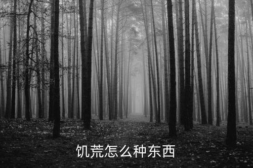 饥荒怎么种东西