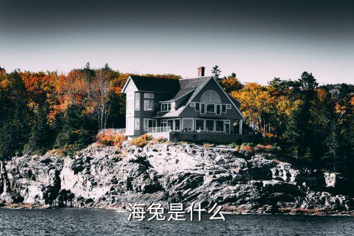 海兔是什么