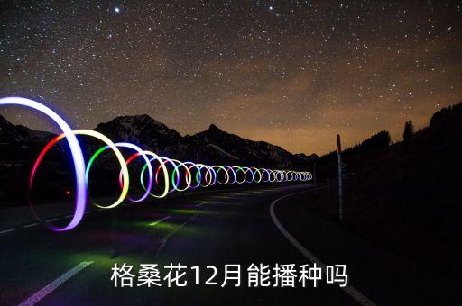 格桑花12月能播种吗