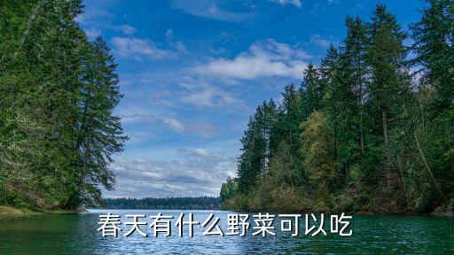 春天野菜大全图解，春天的野菜有哪些