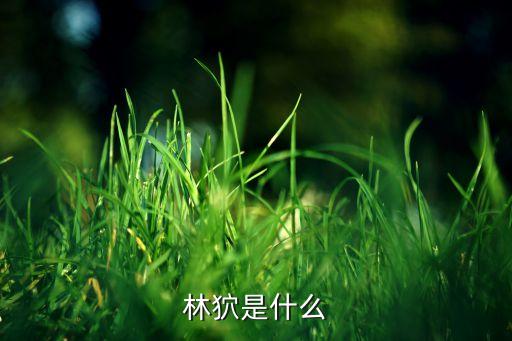 林狖是什么