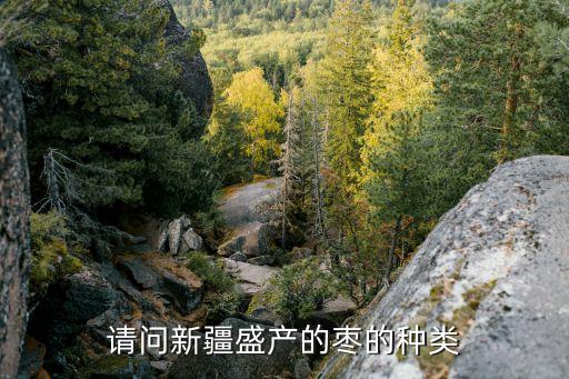 请问新疆盛产的枣的种类