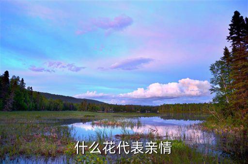 什么花代表亲情