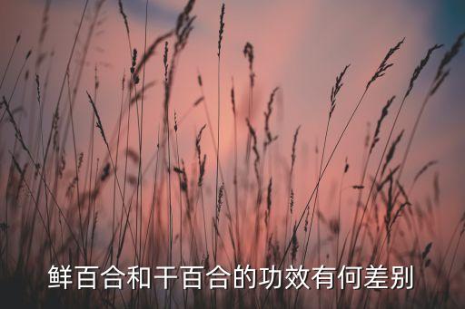 鲜百合和干百合的功效有何差别