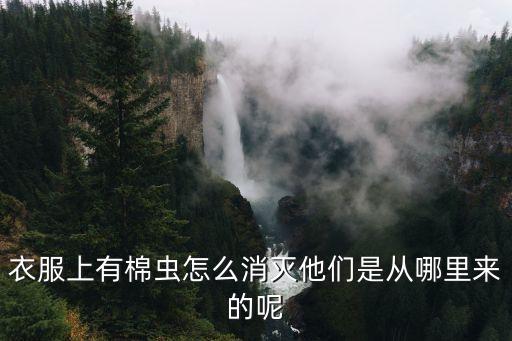 棉虫，衣服上有棉虫怎么消灭他们是从哪里来的呢