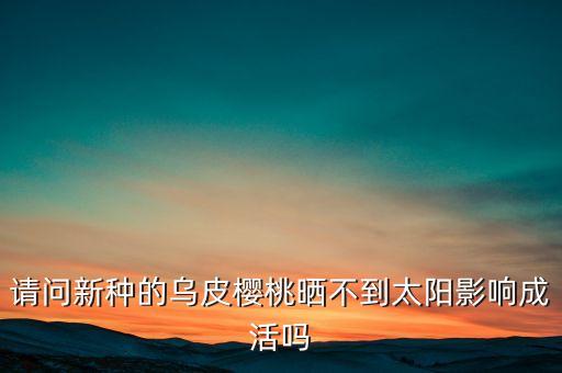 乌皮樱桃，乌皮樱桃怎么打药管理