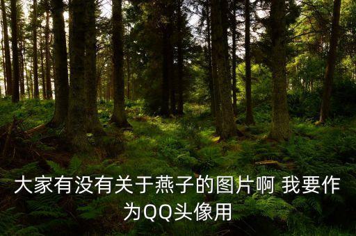 燕子图片，什么燕子最可爱