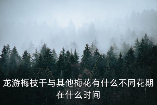 龙游梅枝干与其他梅花有什么不同花期在什么时间
