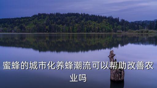 吃蜂蜜怎么带动农业发展，蜜蜂的城市化养蜂潮流可以帮助改善农业吗