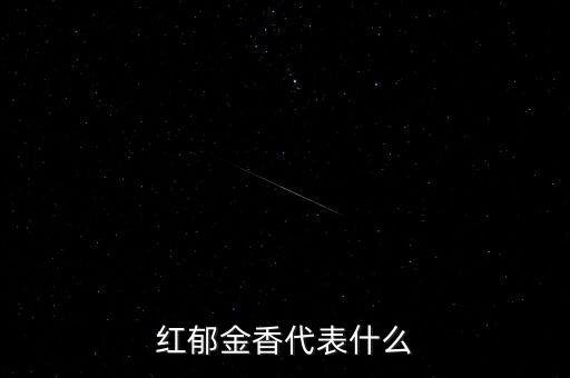 红郁金香代表什么