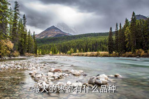 特大的枣都有什么品种