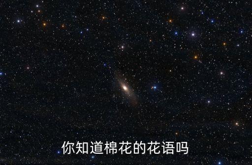 棉花的花语，你知道棉花的花语吗