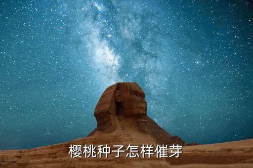 樱桃种子怎样催芽