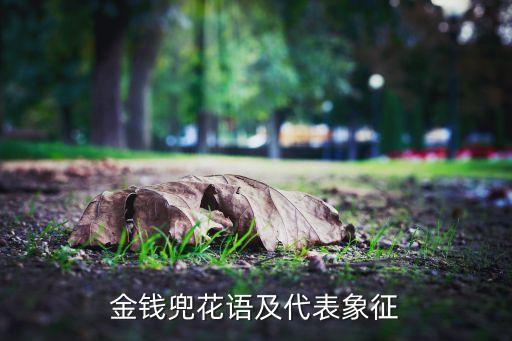 金钱兜，金钱兜花语及代表象征