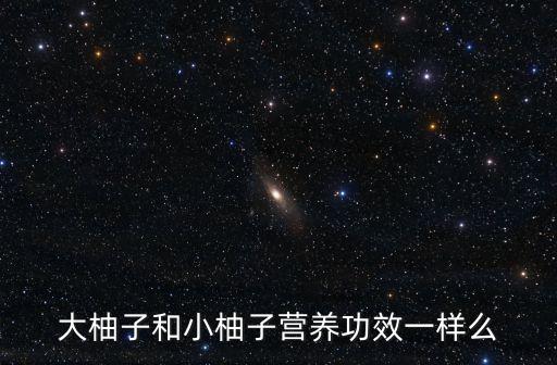 大柚子和小柚子营养功效一样么