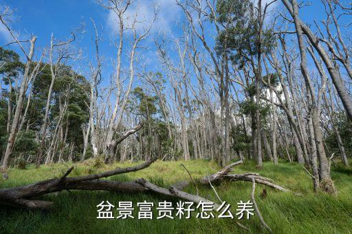 金豆盆景养殖方法，野山桔中的金豆如何种植盆栽要注意什么