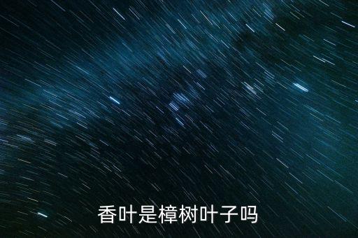 香叶是樟树叶子吗