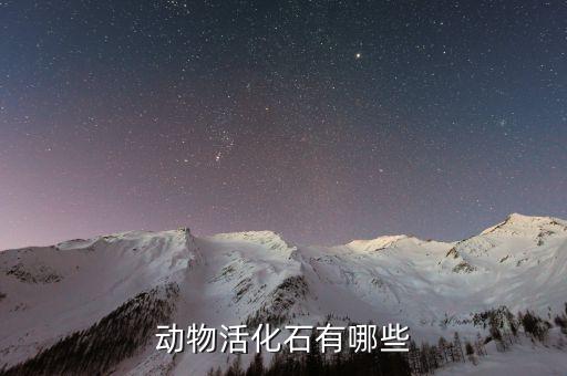 动物活化石，哪些动物是活化石