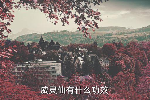 威灵仙，威灵仙有什么功效