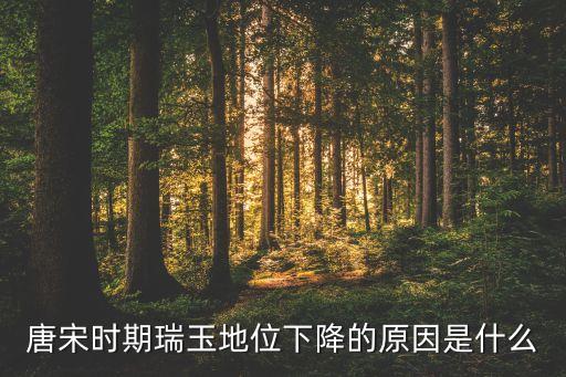 唐宋时期瑞玉地位下降的原因是什么