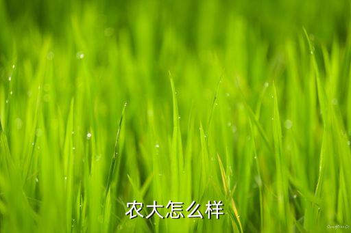 农大怎么样