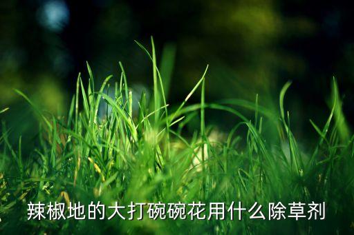 辣椒地的大打碗碗花用什么除草剂